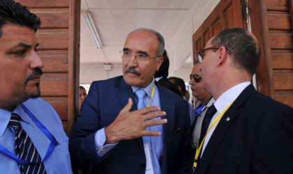 Election du président du COA : Lebib prévient contre la perversion du scrutin